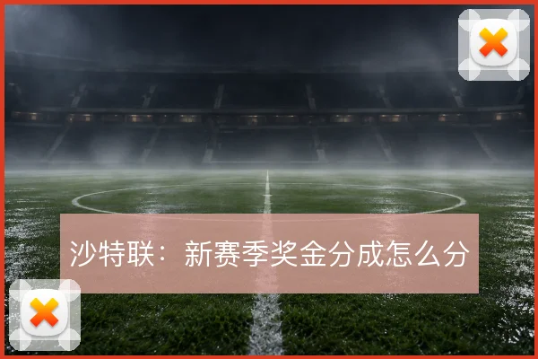 沙特联:新赛季奖金分成怎么分